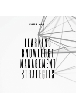 Learning Knowledge Management Strategies