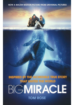 Big Miracle
