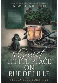 A Quiet Little Place on Rue de Lille
