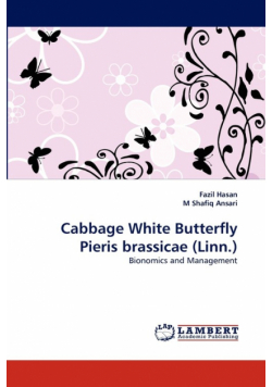 Cabbage White Butterfly Pieris brassicae (Linn.)