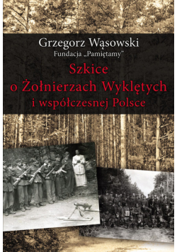 Szkice o Żołnierzach Wyklętych i współczesnej Polsce