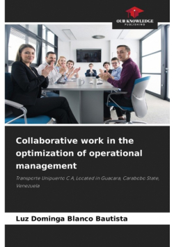 Collaborative work in the optimization of operational management