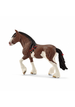 Klacz rasy Clydesdale SLH13809