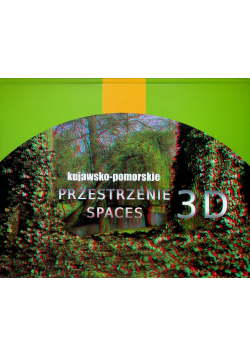 Kujawsko - pomorskie przestrzenie 3D