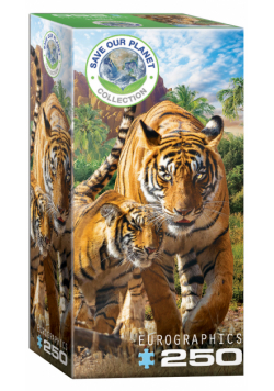 Puzzle 250 Tigers 8251-5559