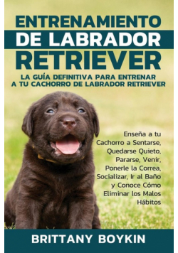 Entrenamiento de Labrador Retriever