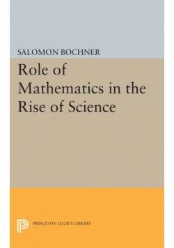 Role of Mathematics in the Rise of Science