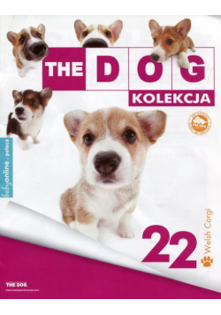 Dog Kolekcja 22 Corgi + maskotka