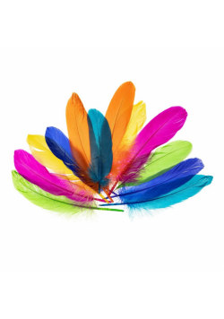 Piórka gęsie nenowy 15-20cm