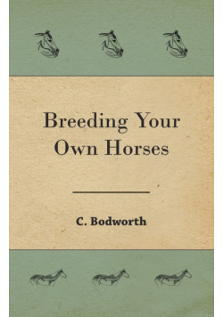 Breeding Your Own Horses