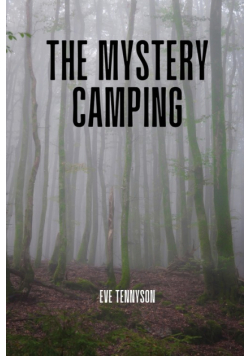 The mystery camping