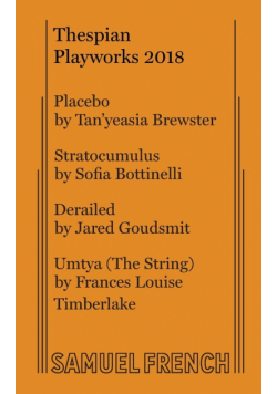 Thespian Playworks 2018
