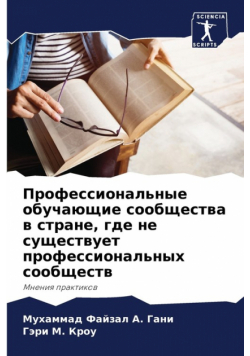 Профессиональные обучающие сообщества в стране, где не существует профессиональных сообществ