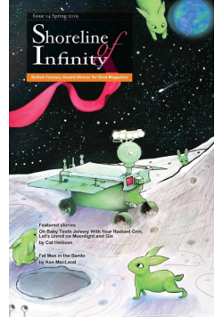 Shoreline of Infinity 14