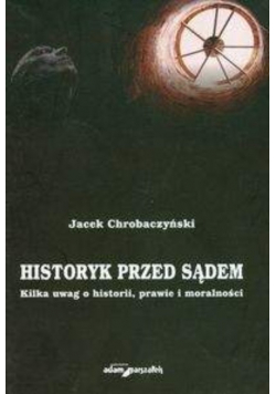 Historyk przed sądem