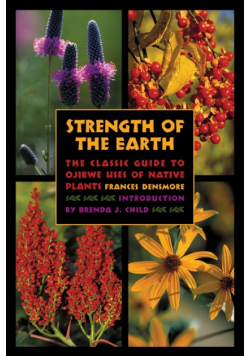 Strength of the Earth