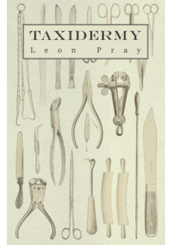 Taxidermy
