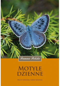 Motyle dzienne wyd. 2024