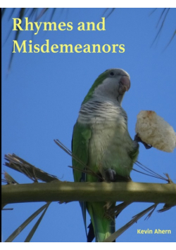 Rhymes and Misdemeanors