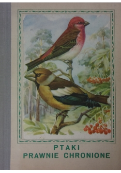 Ptaki prawnie chronione