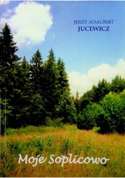 Moje Soplicowo