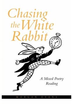 Chasing the White Rabbit