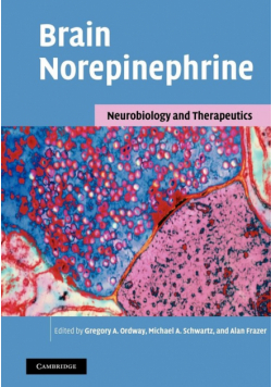 Brain Norepinephrine
