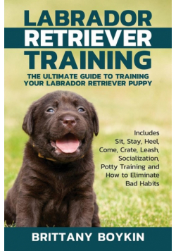 Labrador Retriever Training
