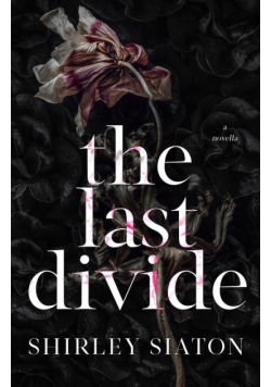 The Last Divide