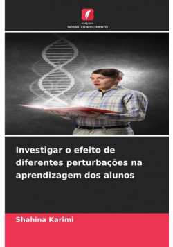 Investigar o efeito de diferentes perturbações na aprendizagem dos alunos