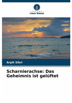 Scharnierachse