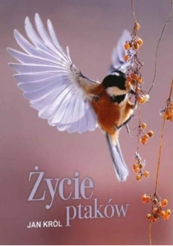Życie ptaków