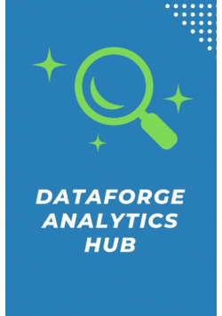 DataForge Analytics Hub