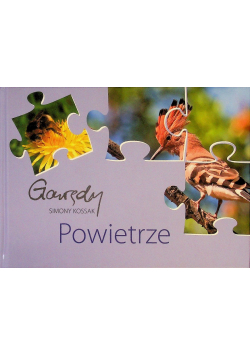 Powietrze