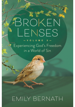 Broken Lenses Volume 3
