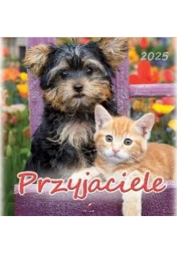 Kalendarz 2025 wieloplanszowy Przyjaciele