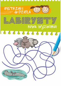 Bystrzaki do dzieła Nowe wyzwania