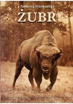 Żubr
