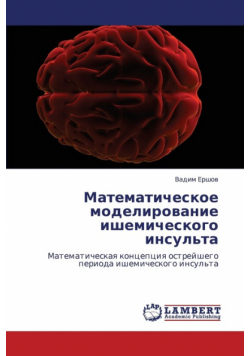 Matematicheskoe Modelirovanie Ishemicheskogo Insul'ta