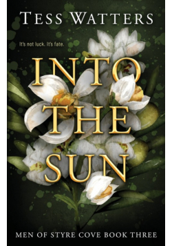 Into the Sun
