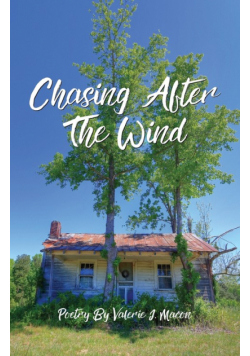 Chasing After the Wind