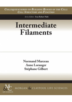 Intermediate Filaments