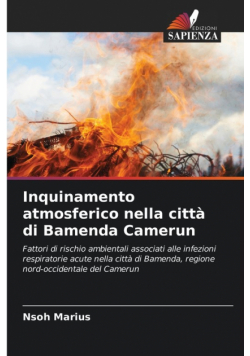 Inquinamento atmosferico nella città di Bamenda Camerun