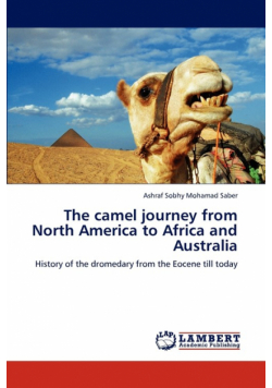 The camel journey from North America to Africa and Australia