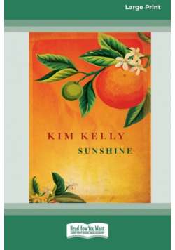 Sunshine (16pt Large Print Edition)