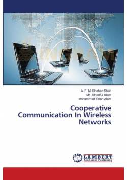 Cooperative Communication In Wireless Networks