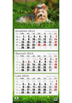 Kalendarz Trójdzielny Płaski 2015 pies