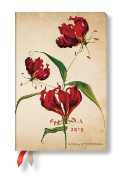 Kalendarz książkowy midi 2019 12M Gloriosa Lily