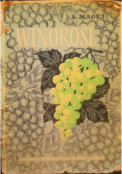 Winorośl