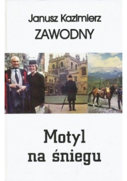 Motyl na śniegu